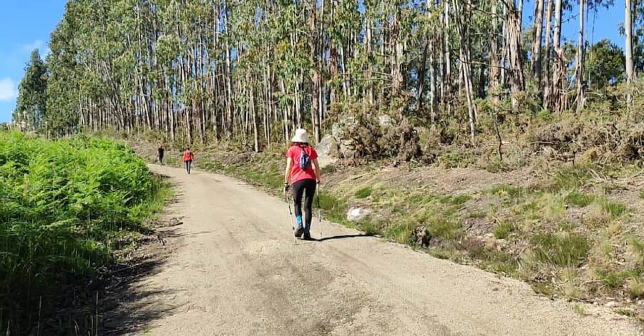 Miradoiro de Paraños