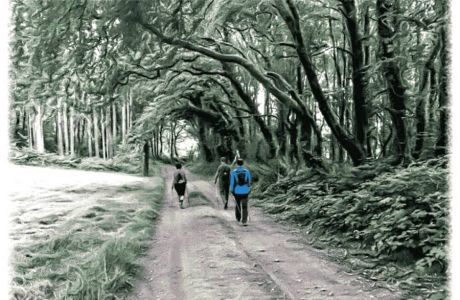 Nordic Walking es tendencia.