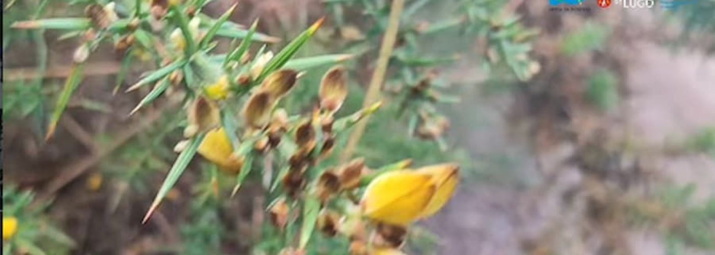 Saída otoñal recreativa por terras da Reserva da Biosfera Terras do Miño