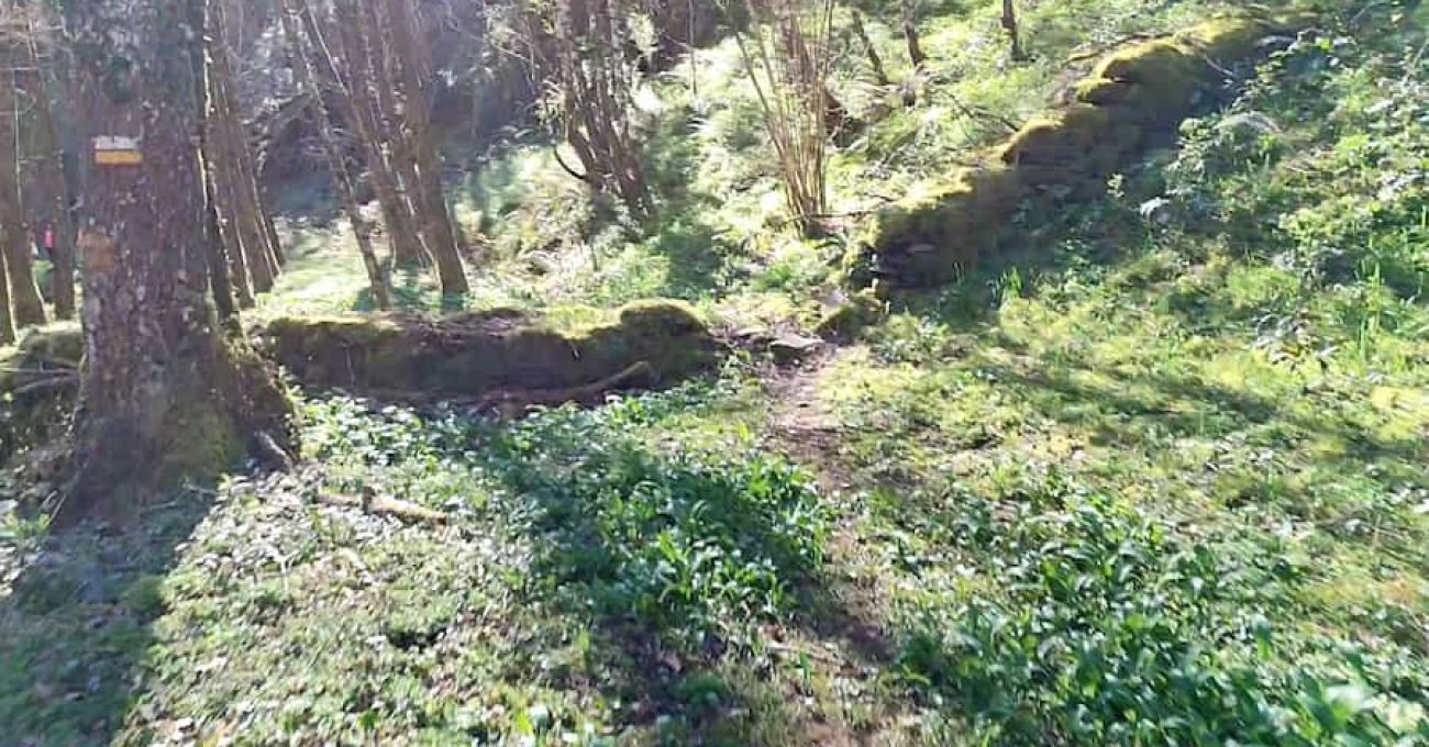 Usos de los muros de junta seca en el río Donsal