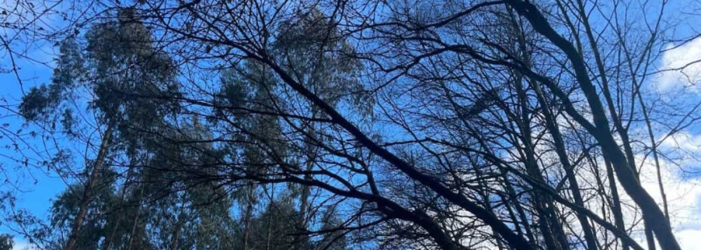 Reserva Biosfera, río Azumara