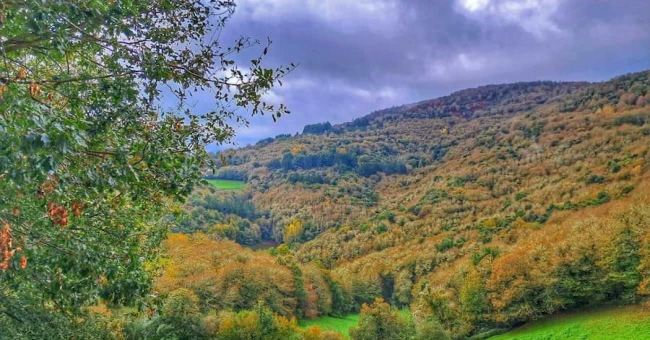 Os grobos, ruta  por el Souto da Agüeira