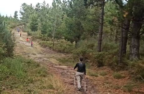 Nuestros 3 niveles de entrenamiento