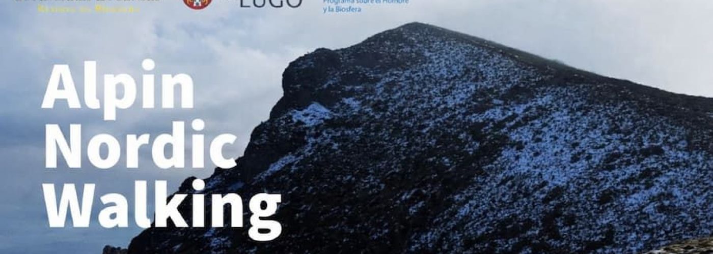 VI Clinic de Técnica Específica ALFA 247 · Desniveles + y −