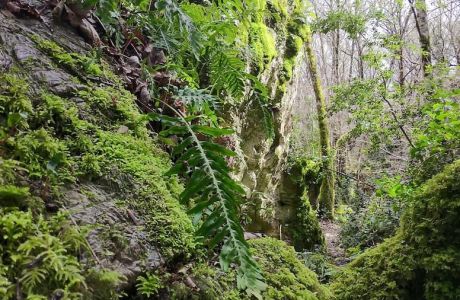 Grobos: El Karst y su Biodiversidad