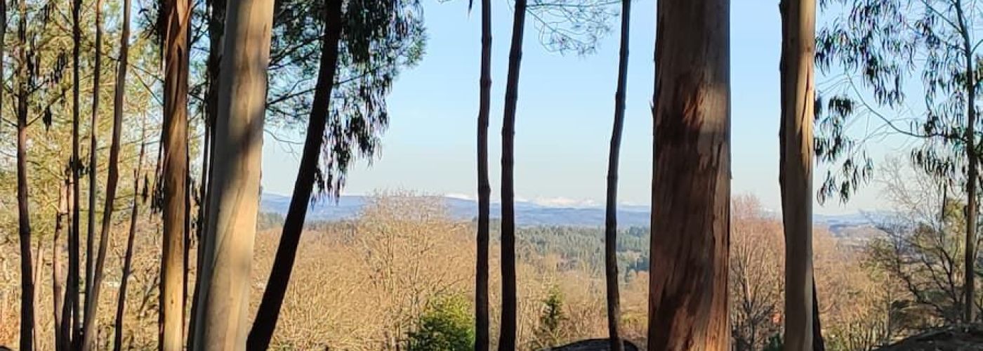 Nuevamente subimos a Penas de Rodas: