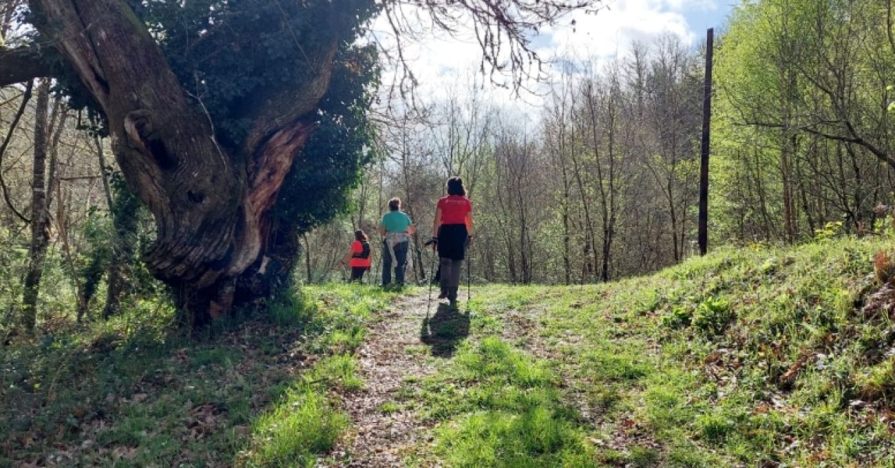 De nuevo por el Donsal