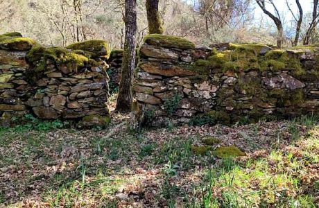Ouriceiro en el Río Donsal