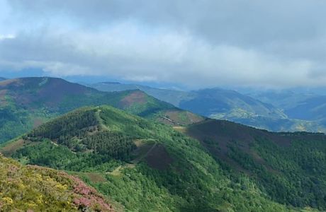 V Clinic de Técnica específica  ALFA 247  "Desniveles + y -"