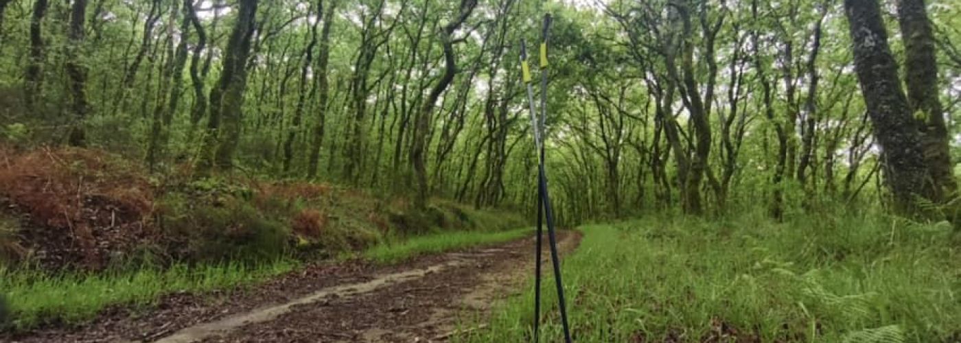 Walkear entre el despertar de la naturaleza: un placer para los sentidos