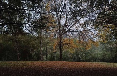 ¿Qué es para mí el Nordic Walking?