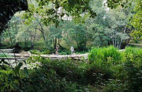 Molino de Paz en Moscán