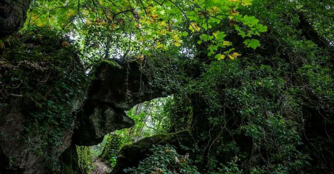 Os grobos por Cormes