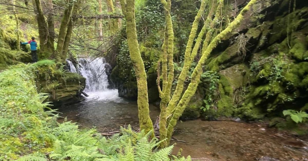 Quintá de Cancelada