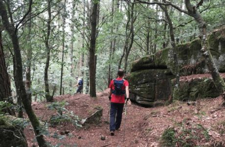 Soñe que soñaba....