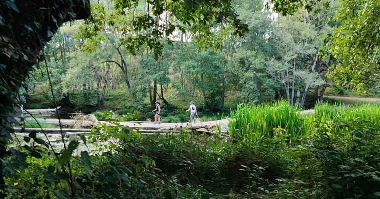 Molino de Paz en Moscán