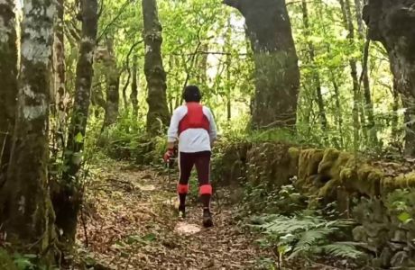 Irregularidad manifiesta