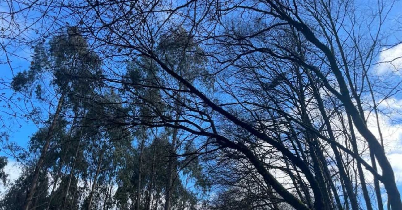 Reserva Biosfera, río Azumara