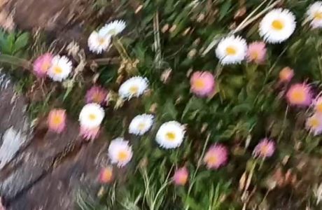 Beneficios del  Nordic Walking