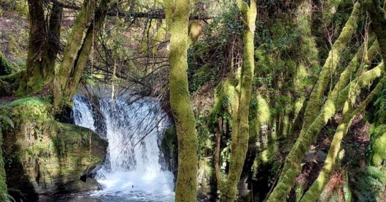 Un Paseo Primaveral en Becerreá desde Quintá de Cancelada