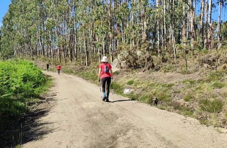 Miradoiro de Paraños