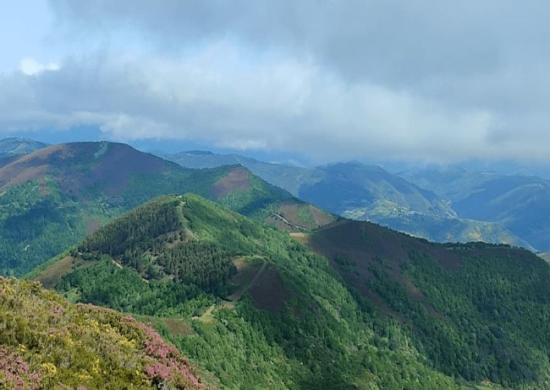 V Clinic de Técnica específica  ALFA 247  "Desniveles + y -" V Clinic de Técnica específica  ALFA 247  "Desniveles + y -"