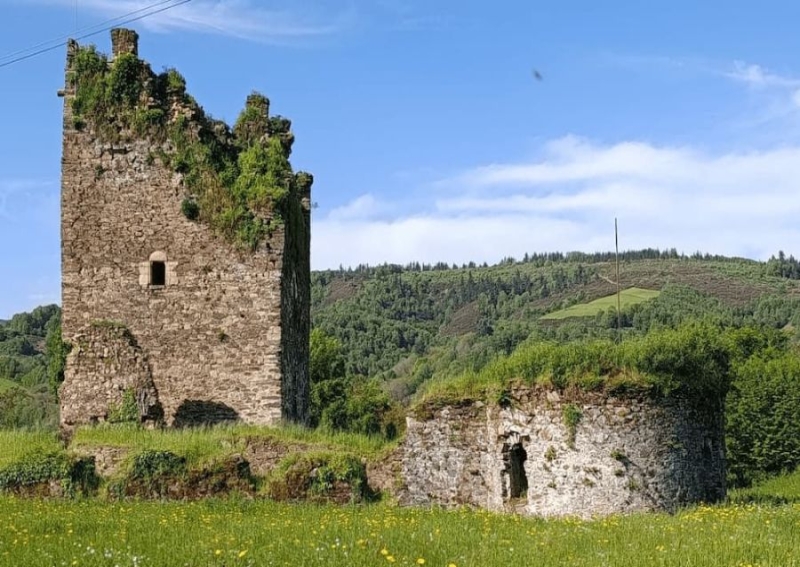 De nuevo por Morcelle y bosque de Los Grobos De nuevo por Morcelle y bosque de Los Grobos