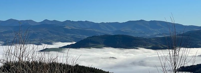 Reserva de la Biosfera Ancares lucenses, montes de Cervantes, Navia y Becerreá