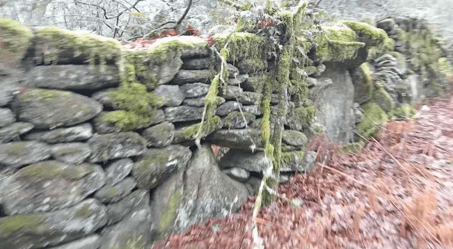 Continuidad y buen hacer