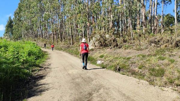 Camino del Alta de Paraños