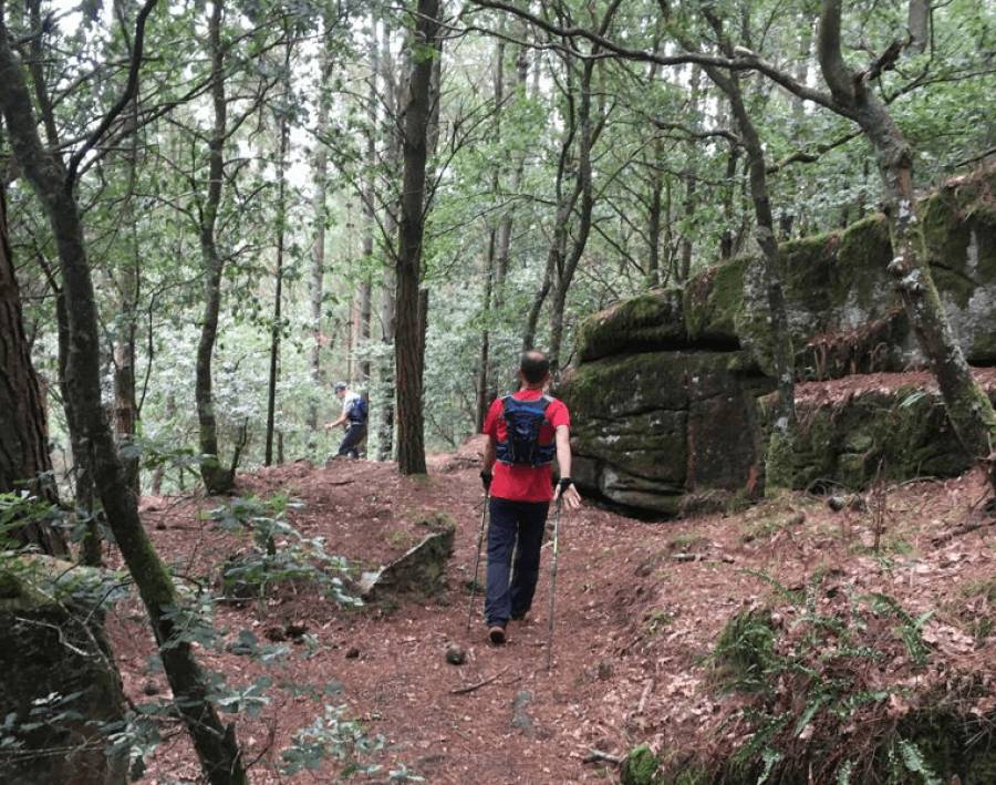 Paseando en el bosque