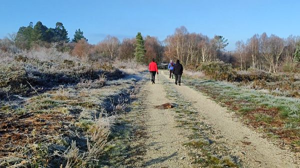 Camino Real en Invierno